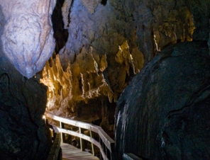 Kawiti glow worm caves 1